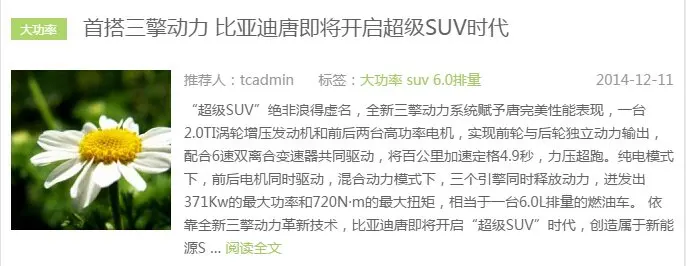 WordPress获取文章的第一个标签名称
