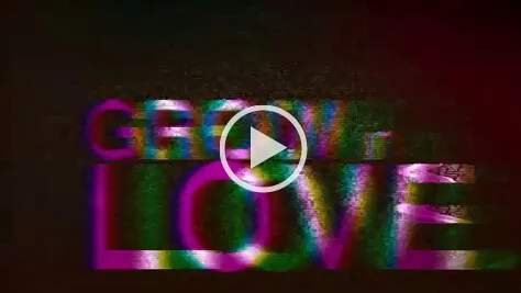 WordPress 视频播放方案—使用默认的视频播放器播放视频