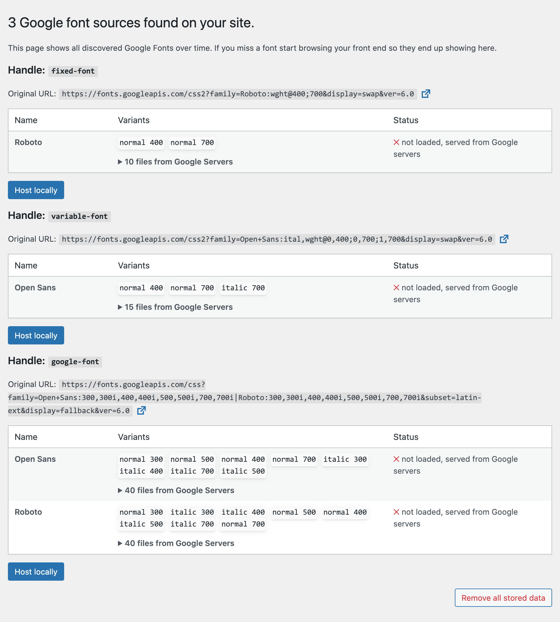 Local Google Fonts Settings Screenshot