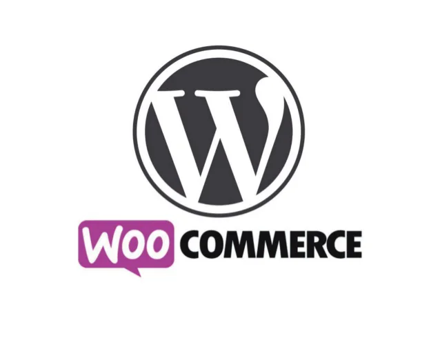How to Load WooCommerce Frontend Resources on Demand to Improve Page Load Speed