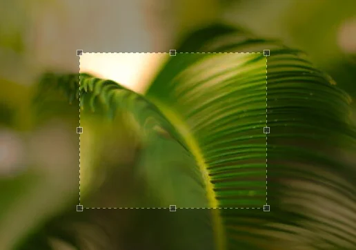Use Jcrop in WordPress to Upload and Crop a Custom Avatar: PHP Backend