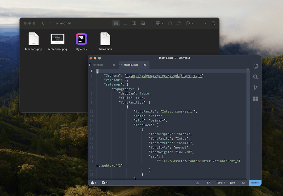 theme.json in code editor