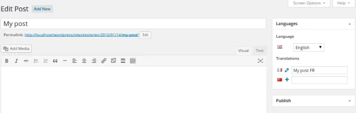 Polylang translation plugin