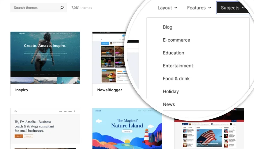 WordPress Theme subjects filter