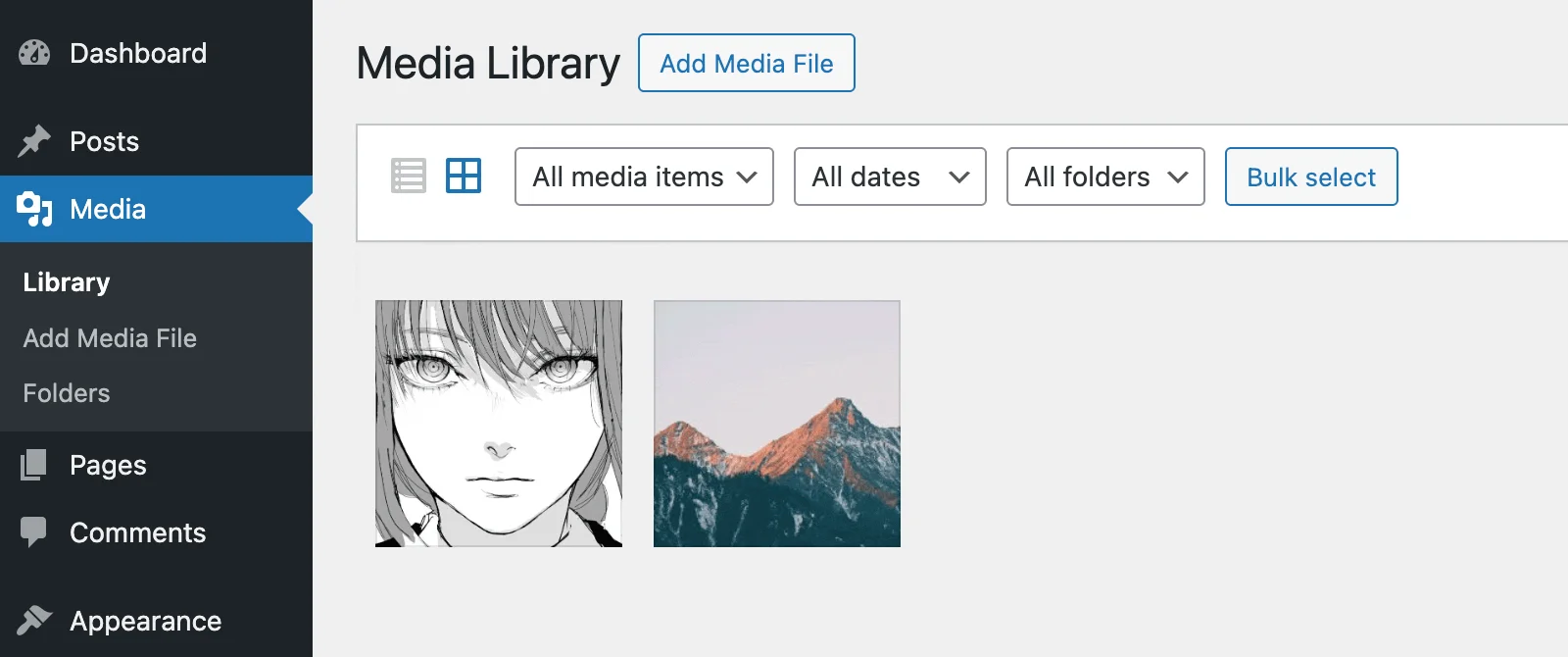Media Library Filter by Folder